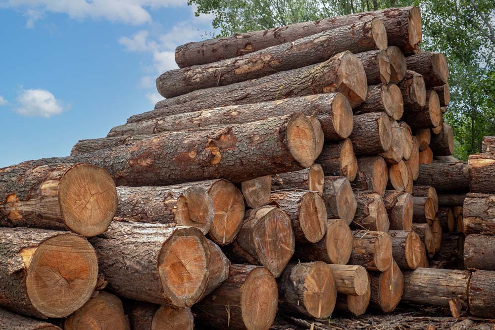 Vente de bois exotique Vaison-la-Romaine Vente de bois exotique Vaison-la-Romaine